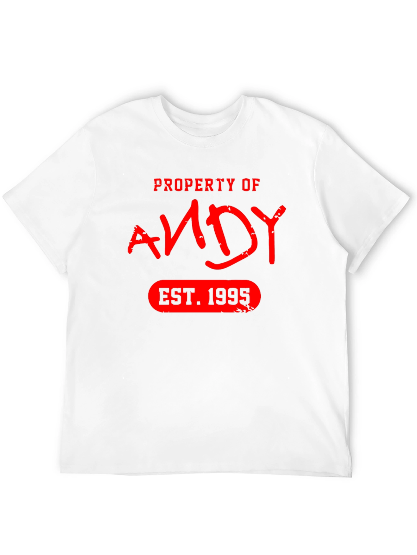 Property of Andy EST. 1995 T-Shirt