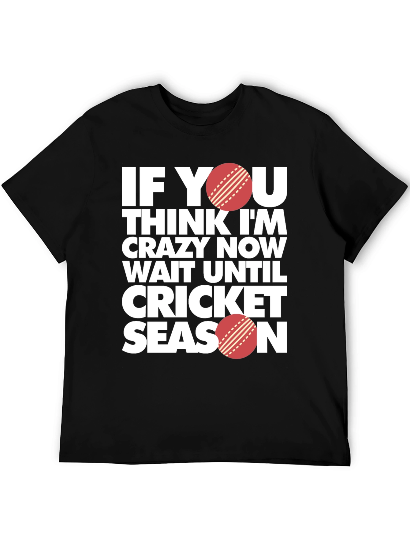 Cricket Season T-Shirt - Funny Sports Tee