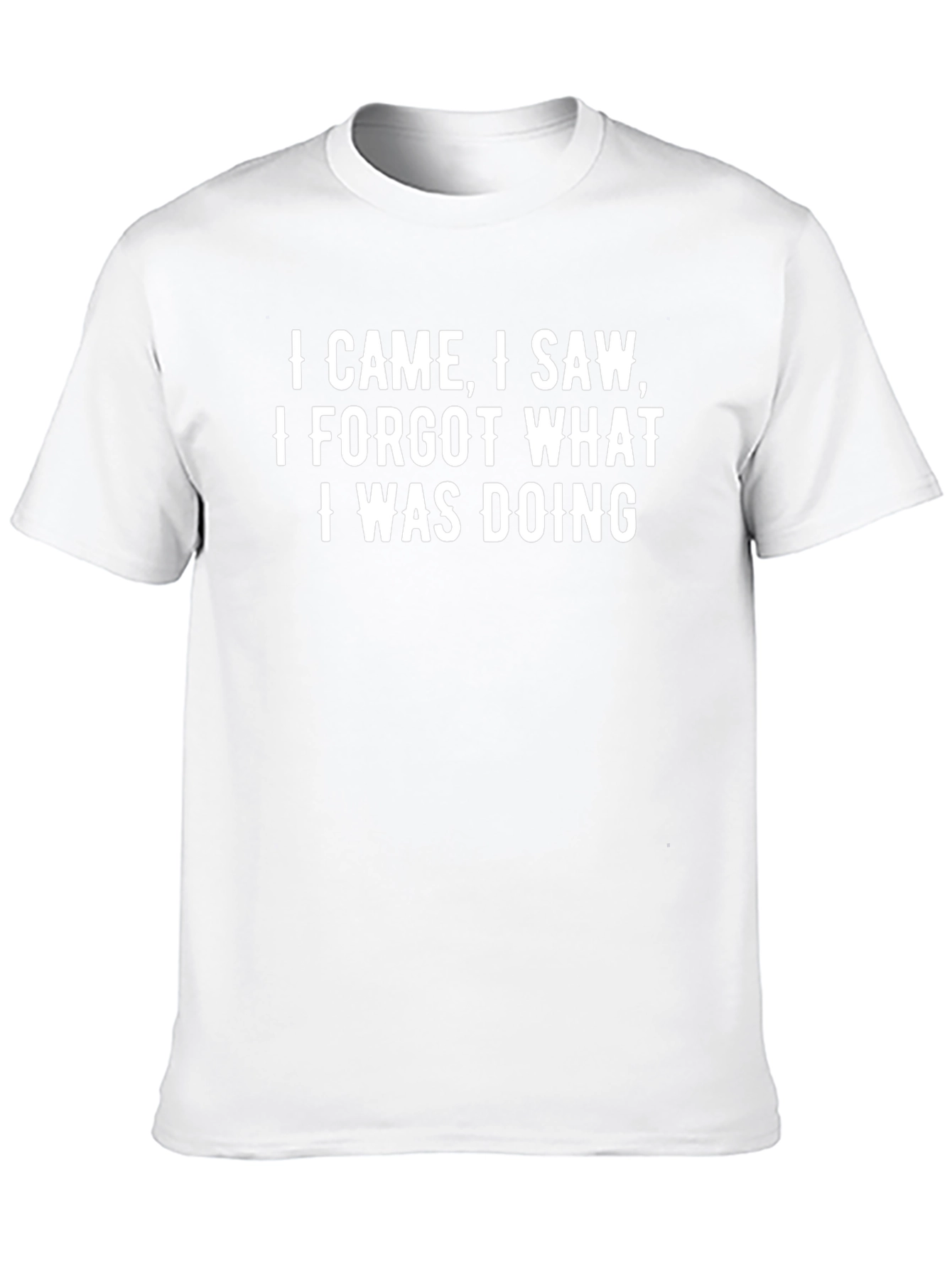 Humorous I Came I Saw Graphic Tee