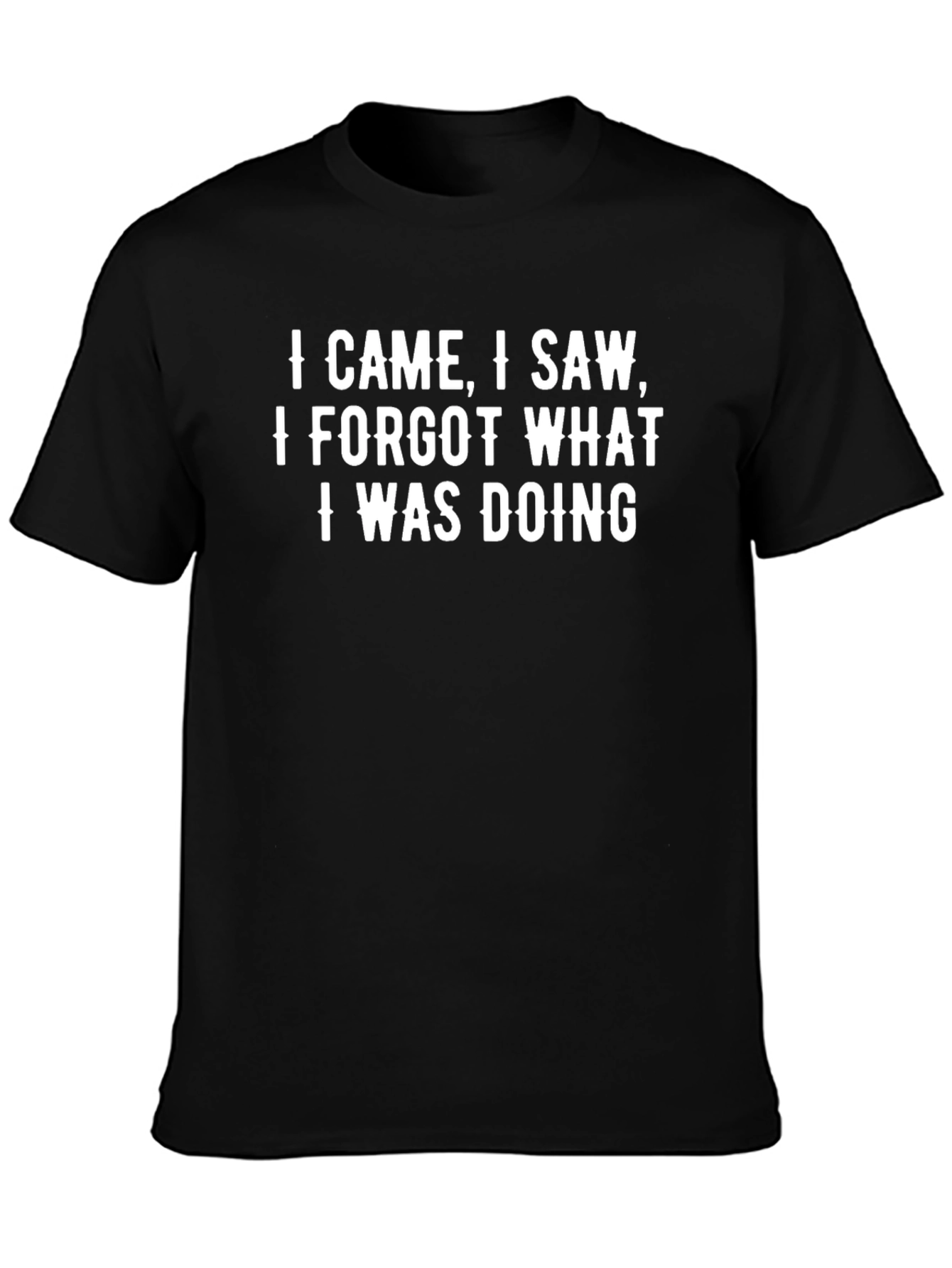Humorous I Came I Saw Graphic Tee