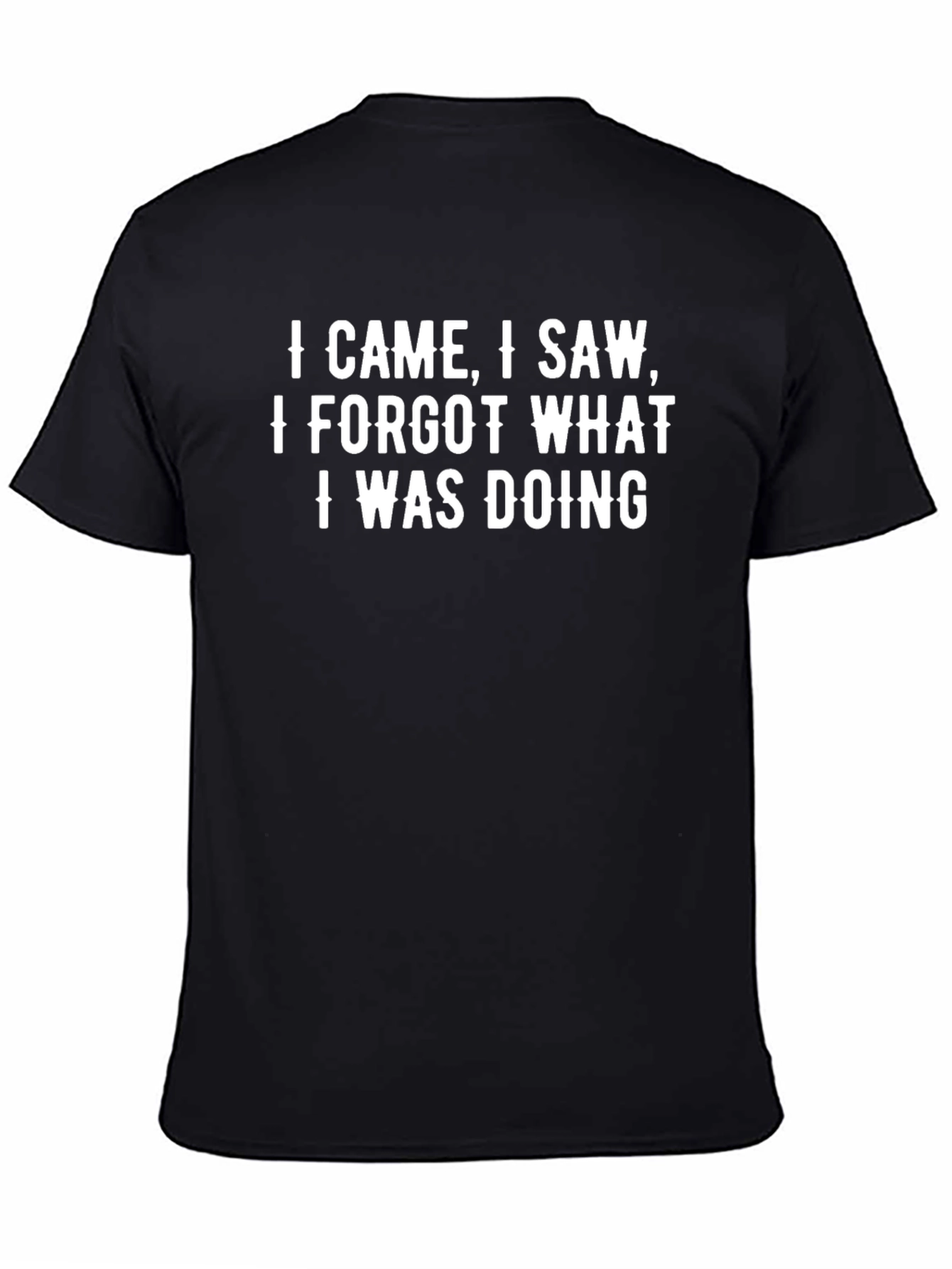 Humorous I Came I Saw Graphic Tee