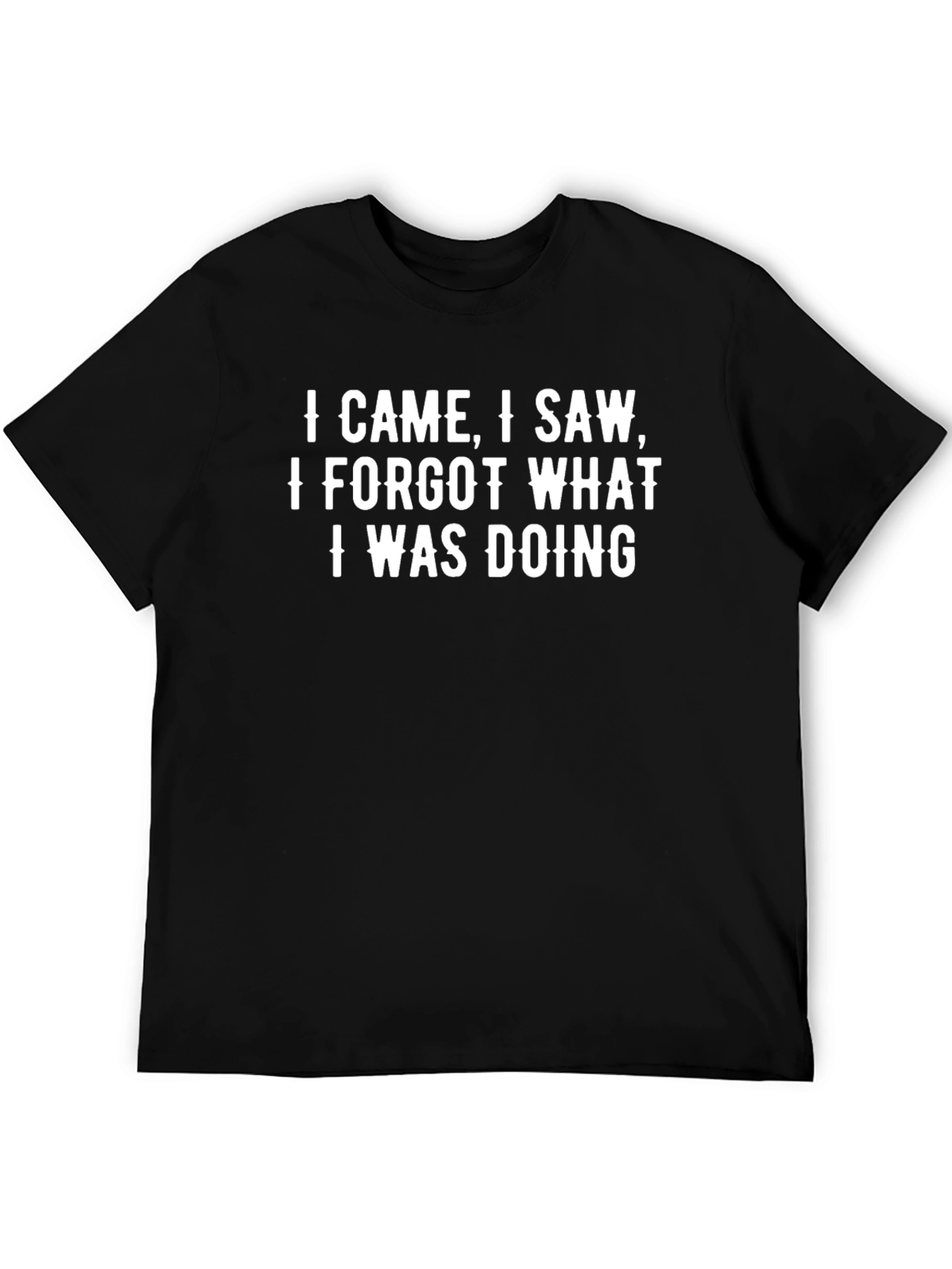 Humorous I Came I Saw Graphic Tee
