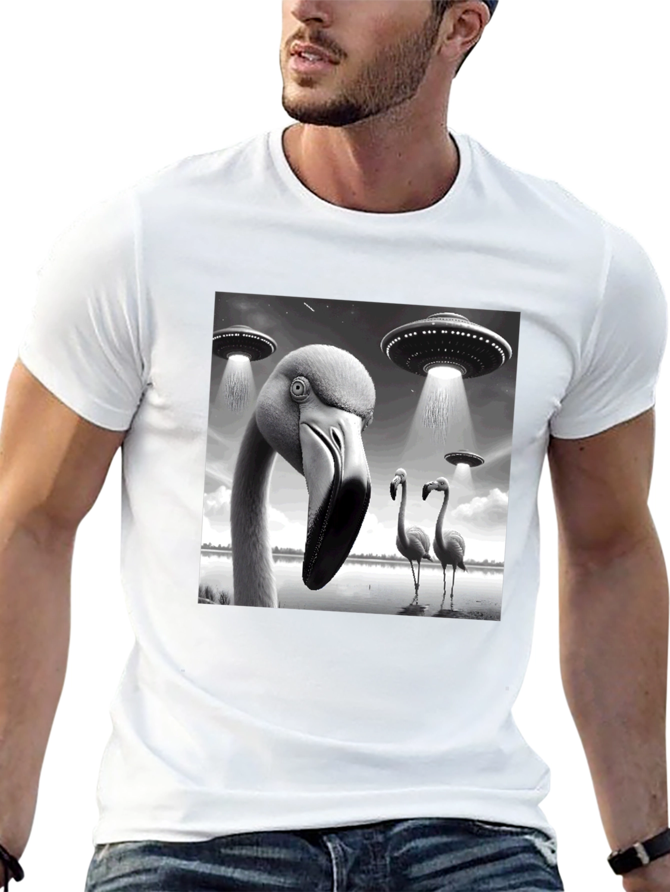Black Flamingo UFO Abduction T-Shirt