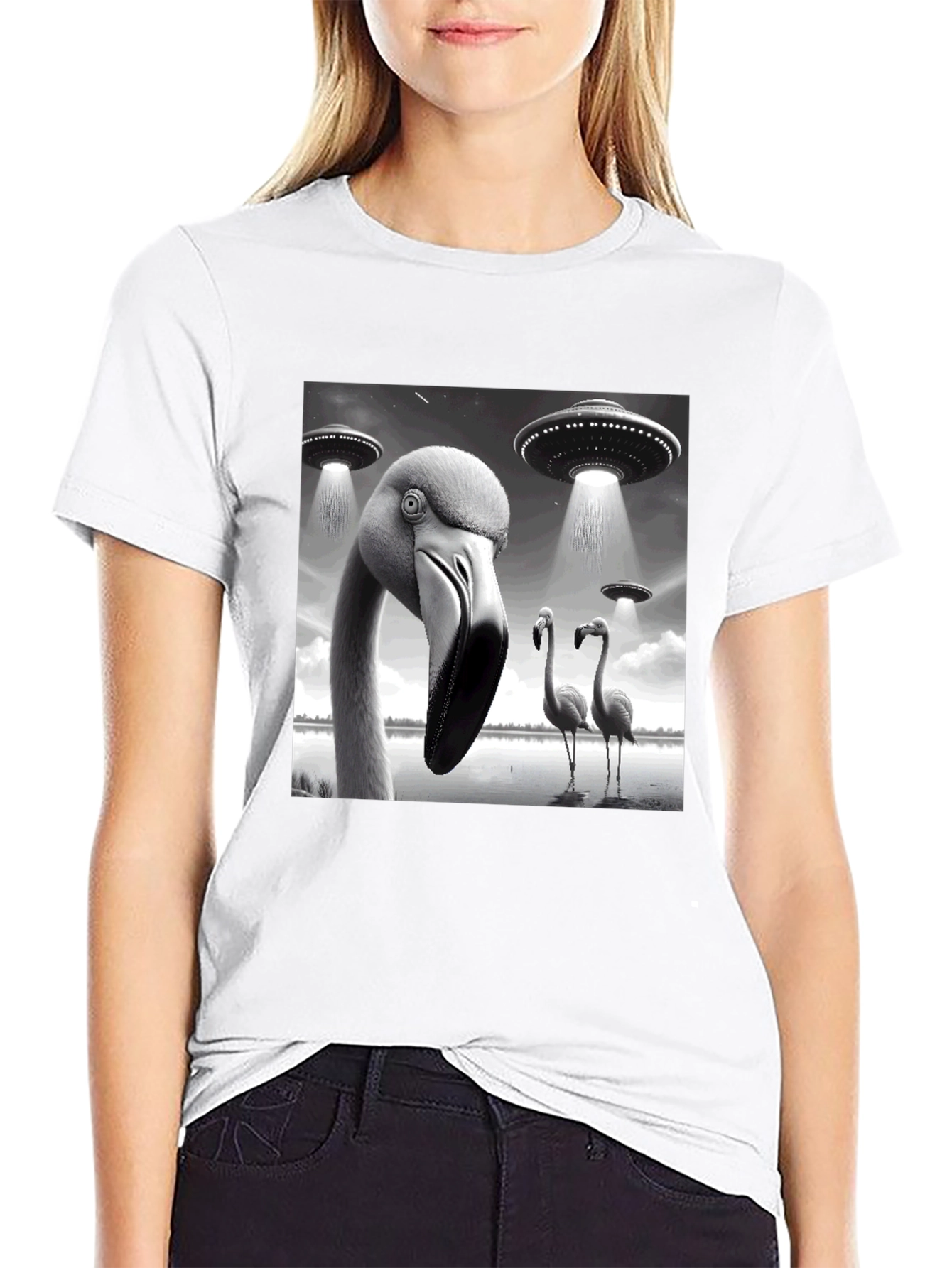 Black Flamingo UFO Abduction T-Shirt