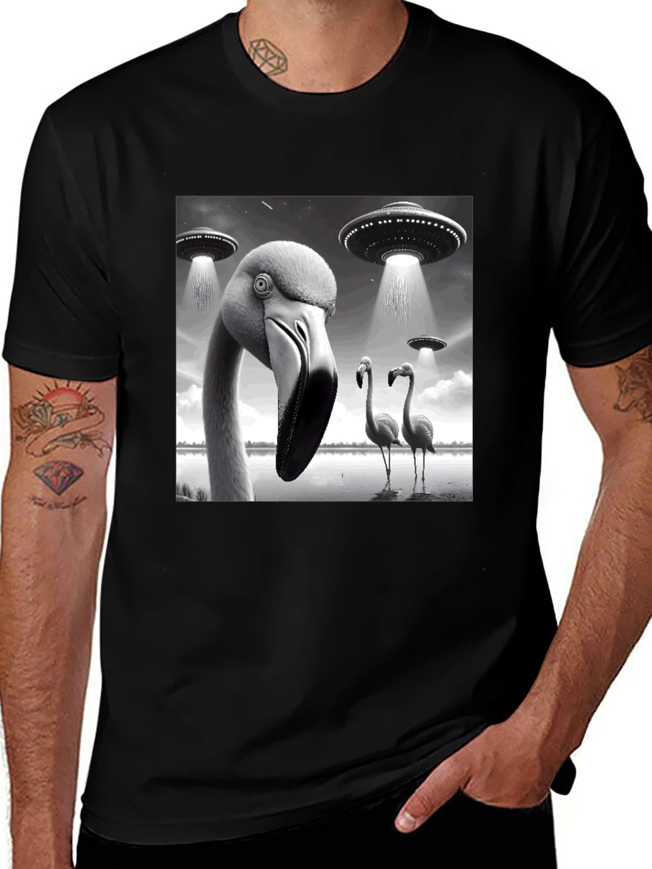 Black Flamingo UFO Abduction T-Shirt