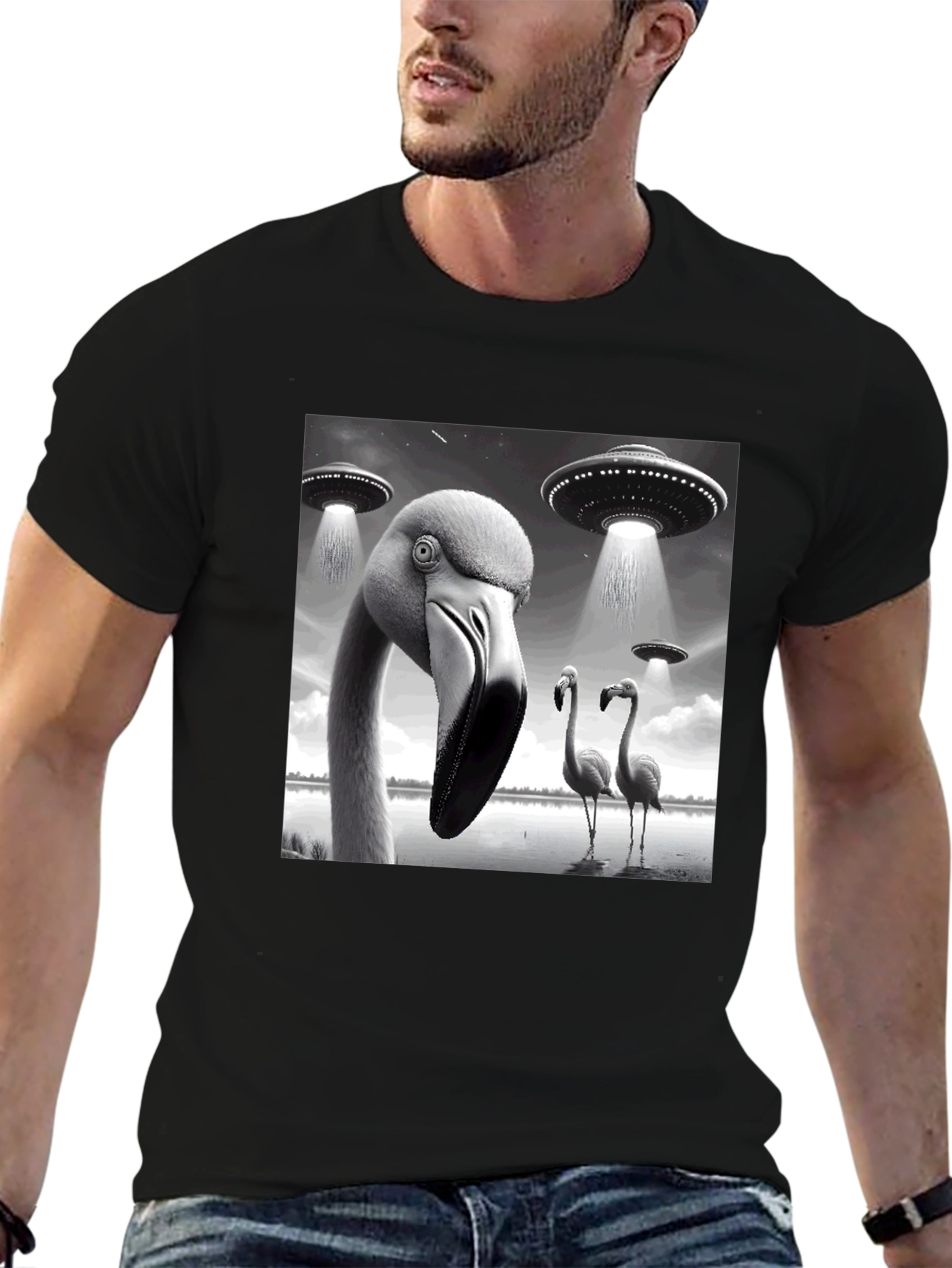 Black Flamingo UFO Abduction T-Shirt