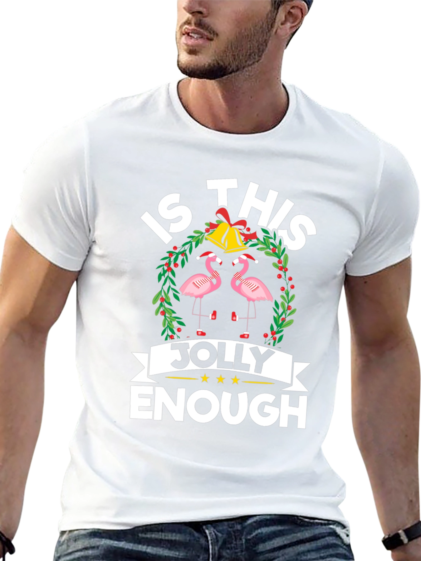 Jolly Flamingo Christmas T-Shirt